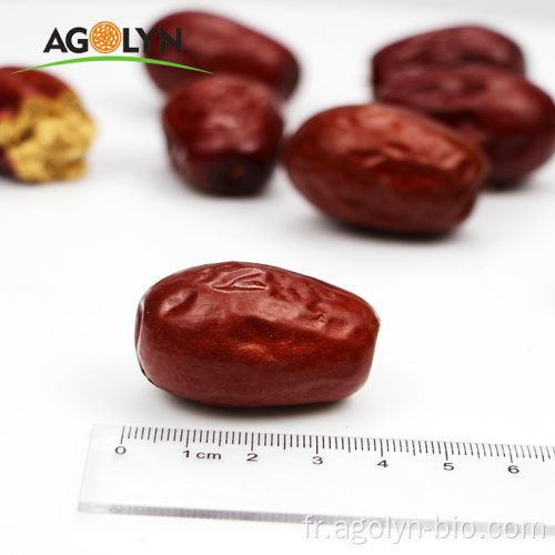 2021 Nouvelles cultures fruits séchées Dates rouges Jujube